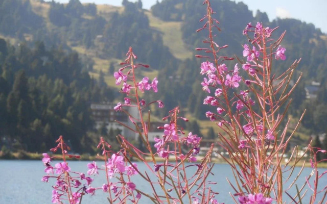 Sundance Grande Mountain  Spa