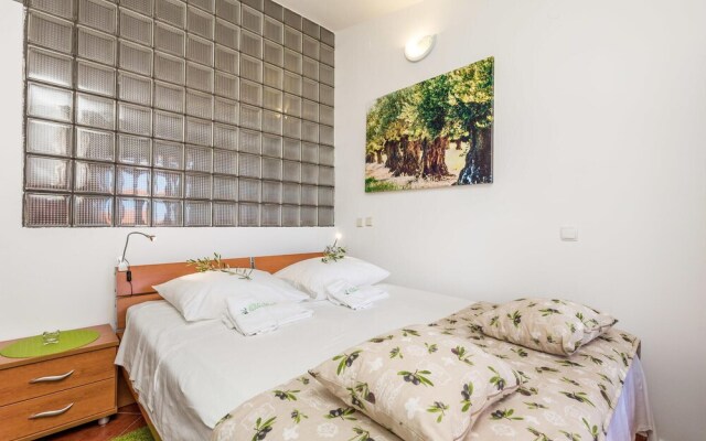 Amazing Home in Mandre With Wifi and 1 Bedrooms