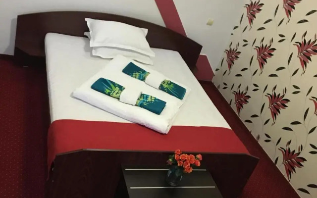 Pension La Viorel