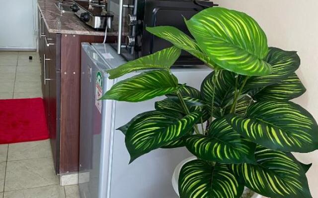 Elegant and cozy studio apartment in Nairobi Ruaka