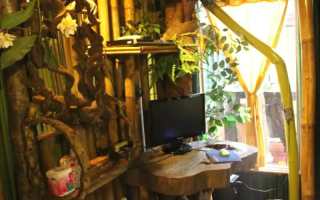 Khao Sok Tree House
