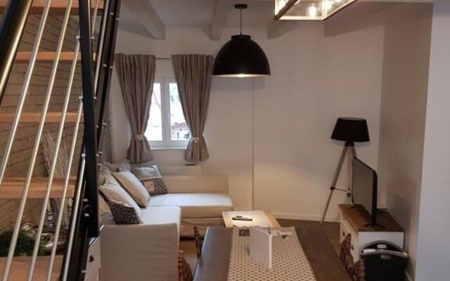 LE NID DE L'ILL, Magnifique Duplex Cosy Petite France