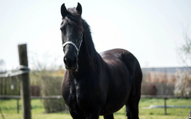 Fruitpark Hotel & Spa