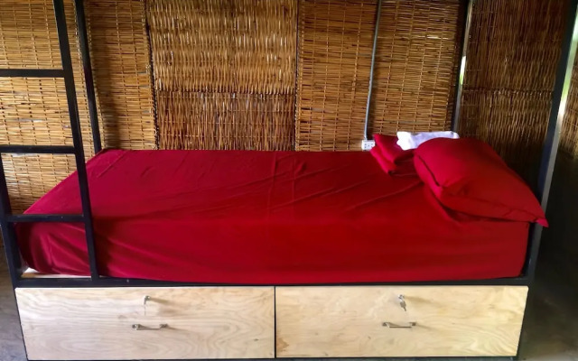 Home Travel Mekong Can Tho Hostel