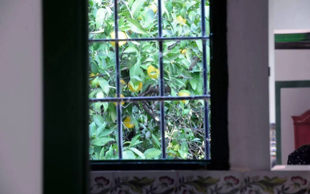 Huerta la Pimentada