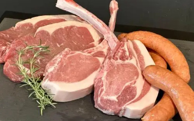 Travel Stay Utsunomiya (Female Only)