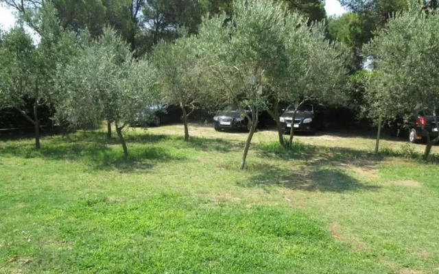 Ivo - With Parking - A3