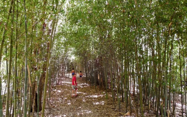 Cabaña Sol de Medianoche Delta Tigre