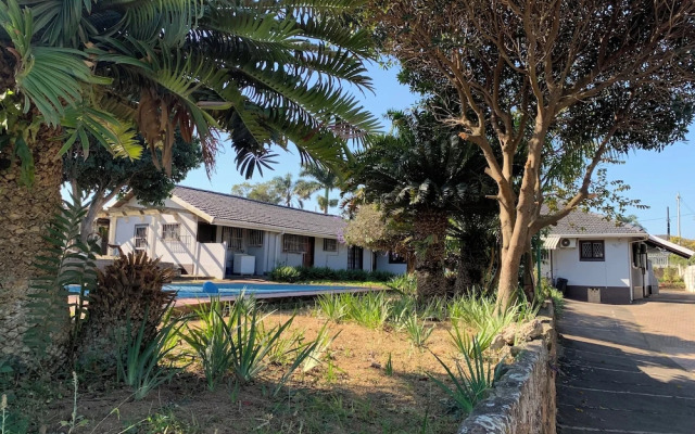 Palm Haven on Sarnia