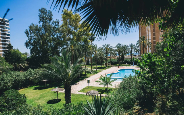 Glp Raspeig Dreamsea