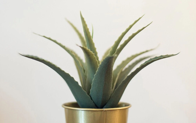 Luxurious 1 Bed Cardiff City Centre Apartment