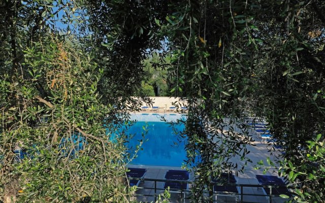 Ferienwohnung "ulivo" mit Pool und Privatstrand -1