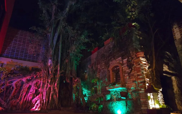 Casa del Arbol