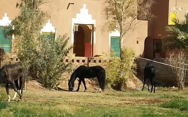 Hostel jnane dar diafa is in the center of tamegrouteface of the bibiotheque