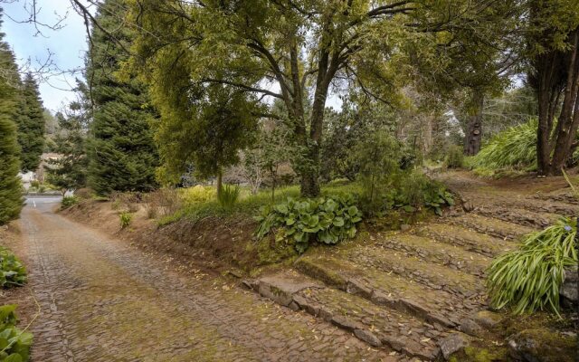 Surrounded by Nature - Casa da Cebola