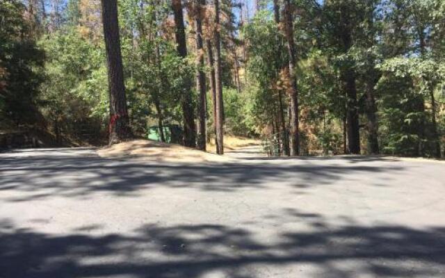 Yosemite National Park Bass Lake