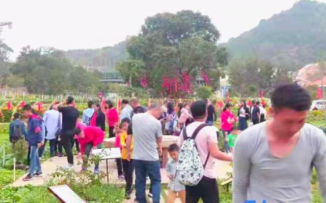 Qingshui Lake Farmhouse