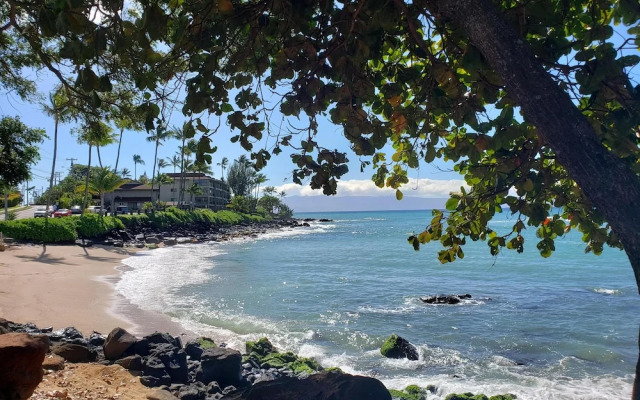 Kahana Manor 205
