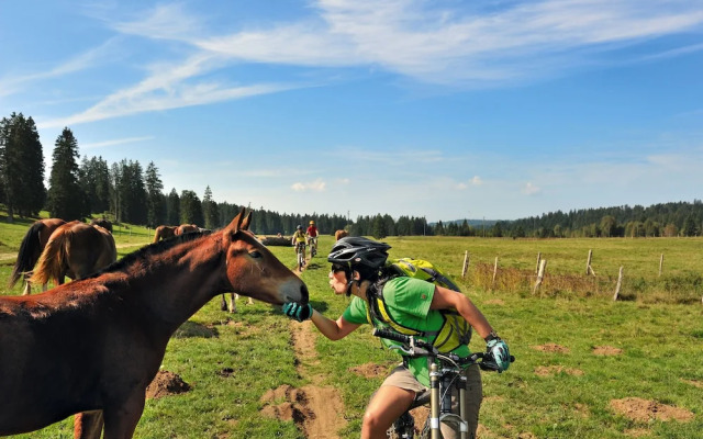 Jura Sport & Spa Resort