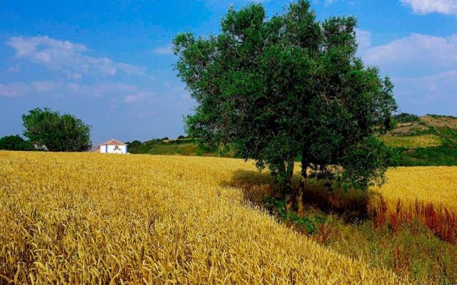 Aldeia da Mata Pequena