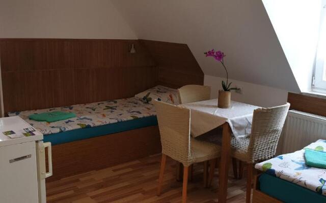 Pension Haus Baron 1 Neckarau