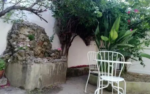 O Jardim Da Tessa