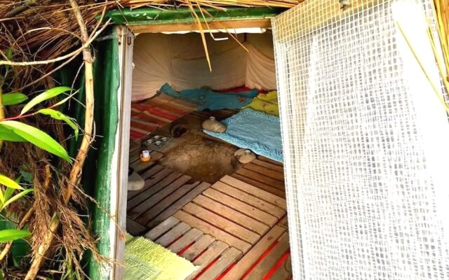 Insolites du Bonheur de Vivre