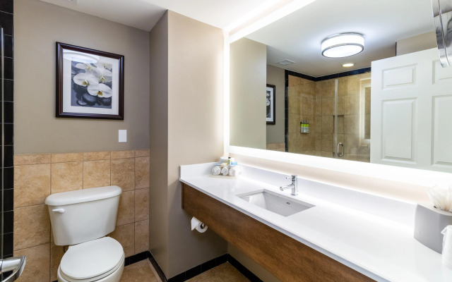 Holiday Inn Express Savannah - Historic District by IHG