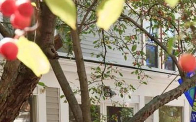 Irving House At Harvard