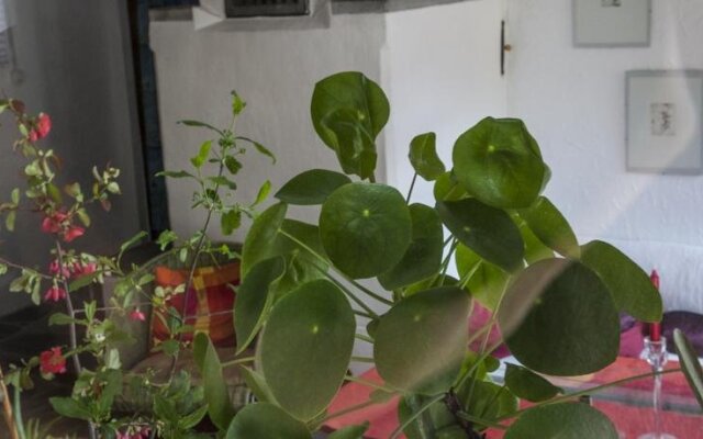 Bed and Breakfast da Toldo