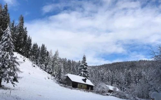 Almhütte Waldbauer