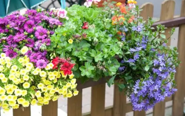 Hotel Haus Mühlbach