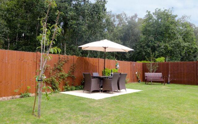 Copper Beeches