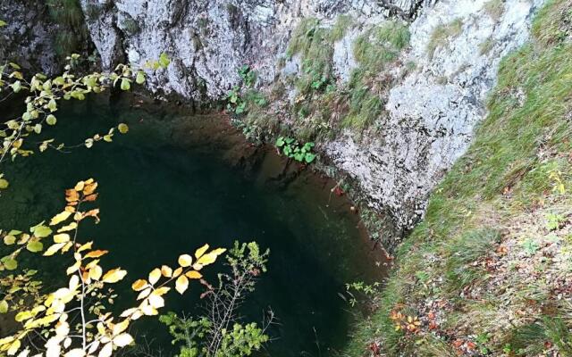 Pensiunea Izbucul Tauz