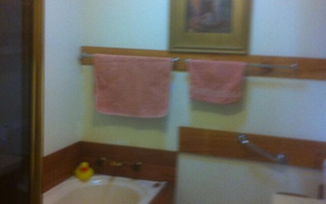 Blueberry B & B
