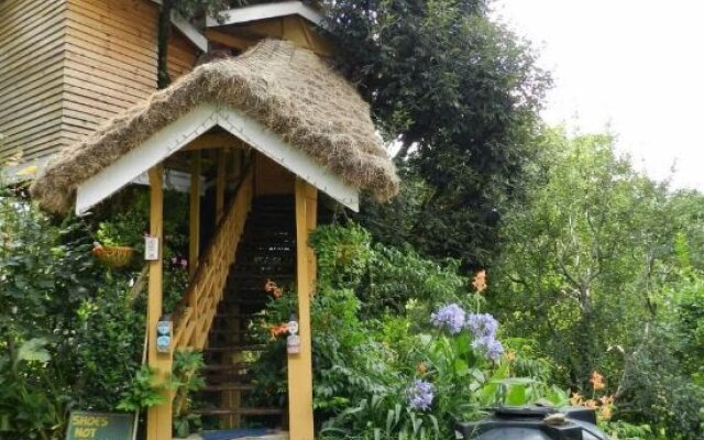 Manali Treehouse Cottages