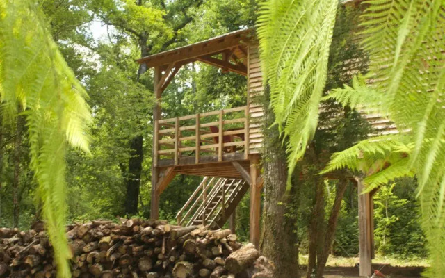 Ecolodges De Loire