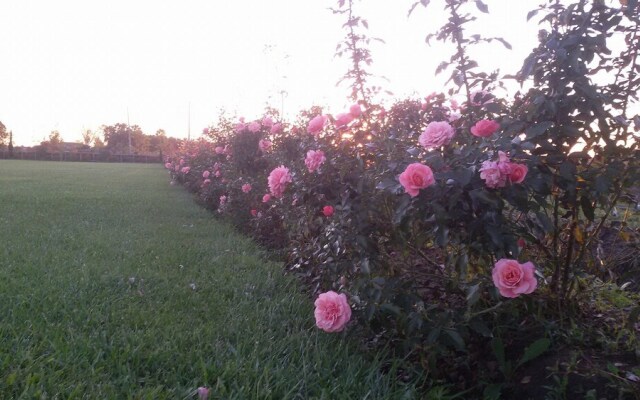 B&B Terre di Paestum