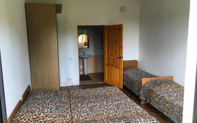 Guest House on Apsny 24a