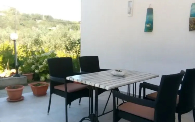Suzy - 80m From the sea - A1 Šestica