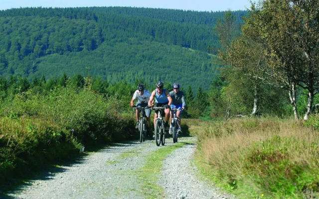 Sonnenhof Willingen
