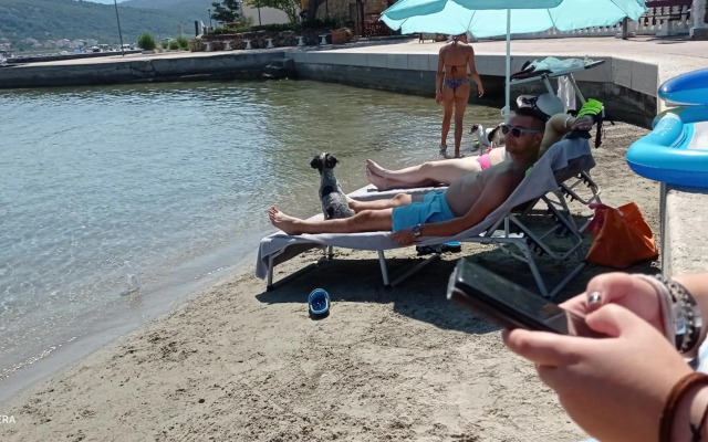 Apartman Mira i Denis