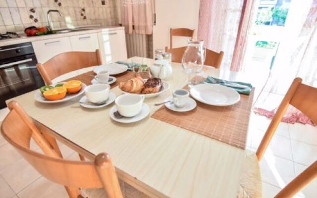 Green Marine. Palme. Ismare 17725