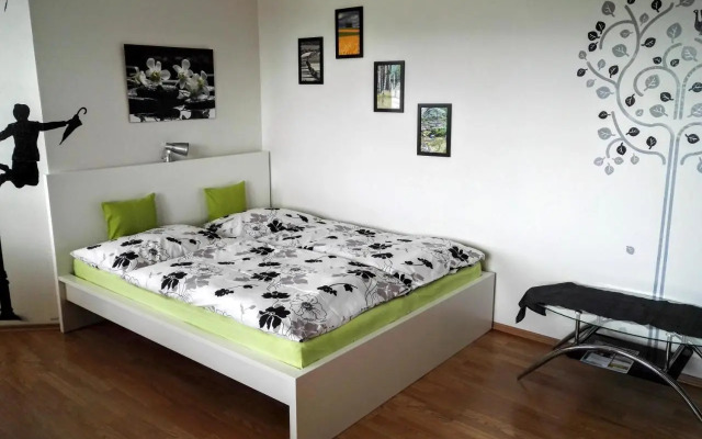 Apartmán Velké Losiny