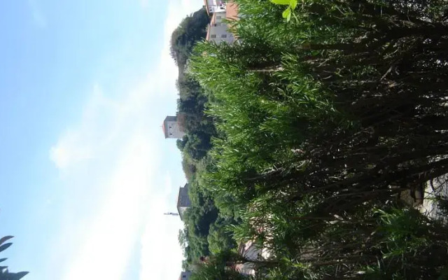 Stevo Guesthouse
