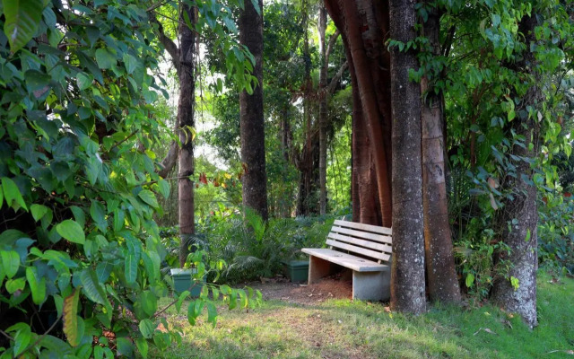 SaffronStays Coorg Toddy Farms, Coorg