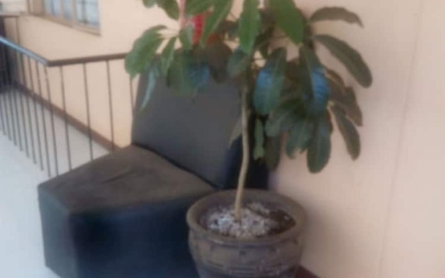 Spoon Zoom Malazi Hotel