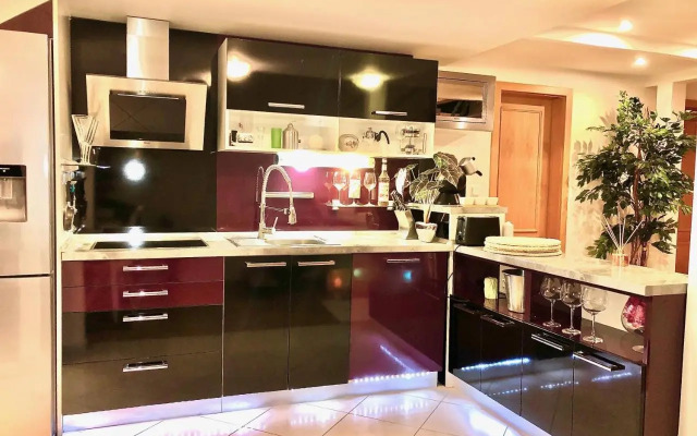 Duplex with quite terrace on Wenceslas sq.