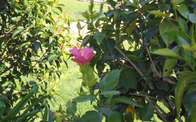 Jardim Paraiso Apartments