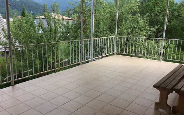 Mount view